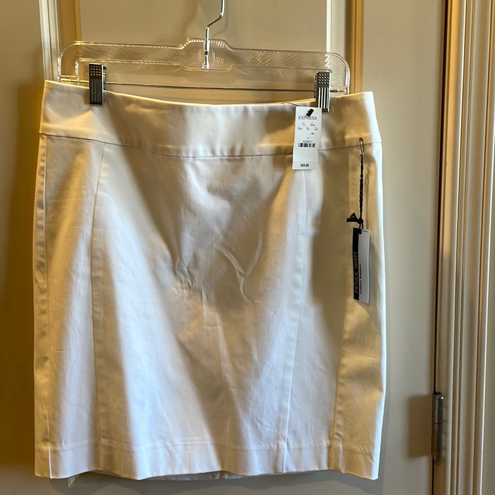 Express Pencil Skirt